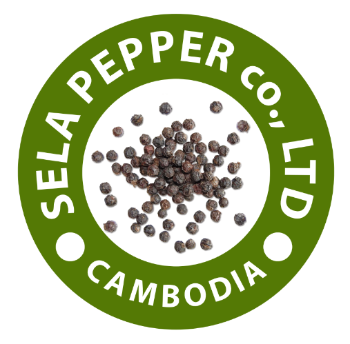 សិលា ផិបភើរ