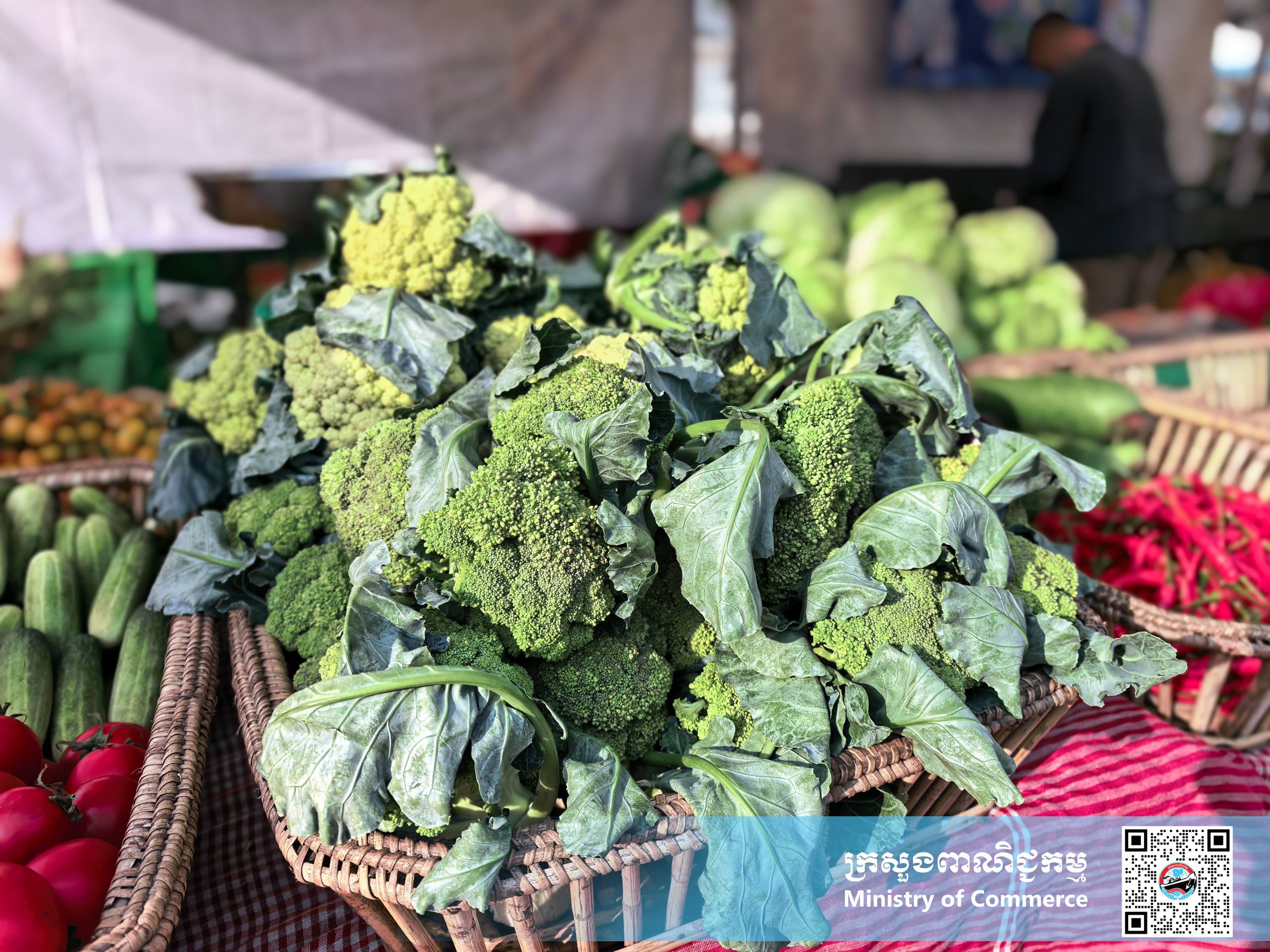 រូបភាពខ្លះៗស្ដីពីសកម្មភាពរបស់បងប្អូនអាជីវករ ពាណិជ្ជករ ភ្ញៀវទេសចរណ៍ជាតិ និងអន្តរជាតិ ចូលរួមព្រឹត្តិការណ៍ «ពិព័រណ៍ផលិតផលខ្មែរ និងបន្លែផ្លែឈើ លើកទី១៩»
